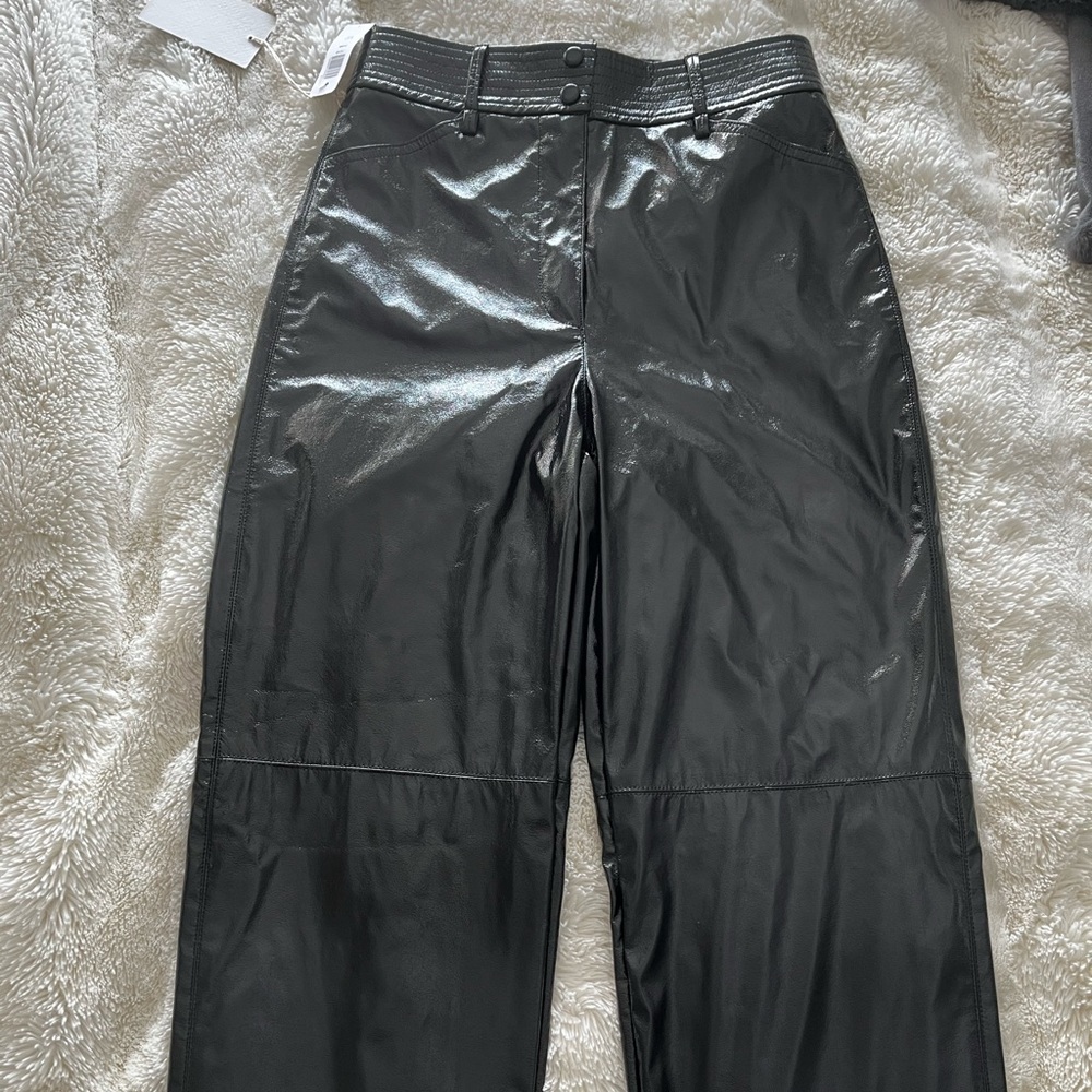 Aritzia Funk Pants